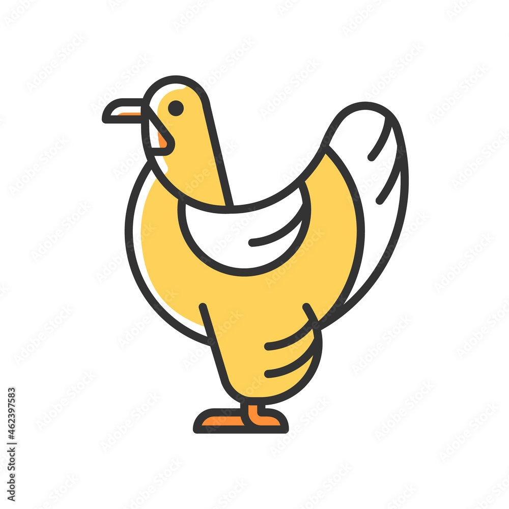 Brahma hen RGB color icon. American chicken breed. Poultry farming ...