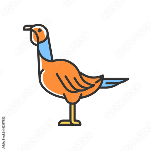 Female turkey RGB color icon. Poultry farming for food. Domestic bird growing for meat. Thanksgiving dinner with turkey. Landfowl. Isolated vector illustration. Simple filled line drawing