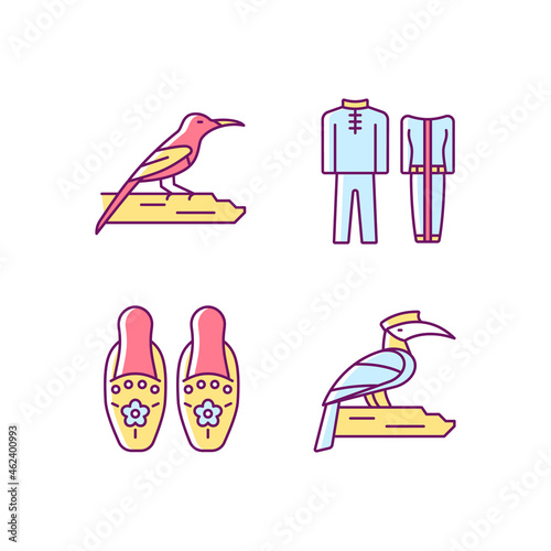 Singaporean bird species RGB color icons set. Traditional Singapore costume. Beaded slippers. Tropical birds. National dresses. Isolated vector illustrations. Simple filled line drawings collection