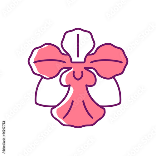 Vanda Miss Joaquim RGB color icon. Singaporean national flower. Plant hybrid. Singapore orchid. Fan-shaped flower cluster. Orchid garden. Isolated vector illustration. Simple filled line drawing