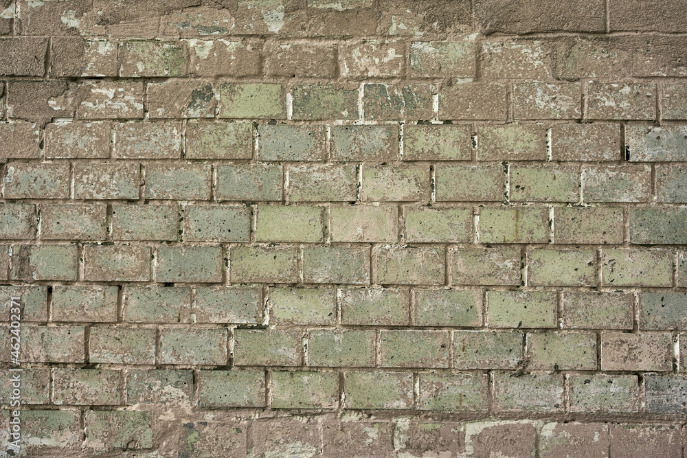 Fototapeta premium Grunge brick wall texture, distressed wall 