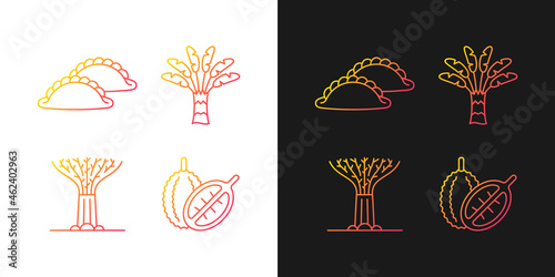 Plants in Singapore gradient icons set for dark and light mode. Singaporean cuisine. Thin line contour symbols bundle. Isolated vector outline illustrations collection on black and white