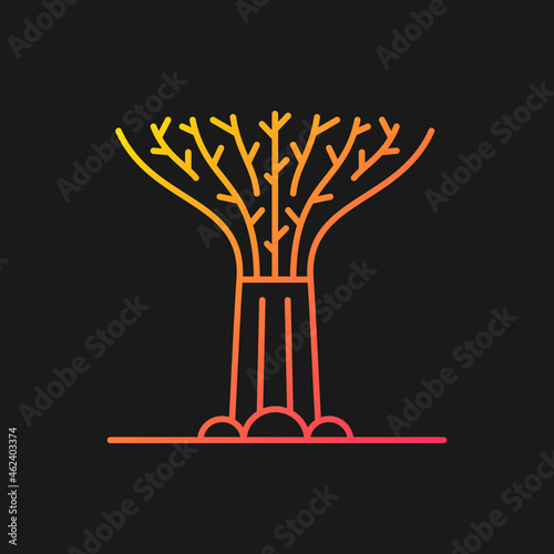 Supertree grove gradient vector icon for dark theme. Tree-like structure. Recognizable Singaporean attraction. Thin line color symbol. Modern style pictogram. Vector isolated outline drawing photo