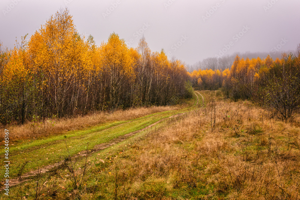 Fototapeta premium Dirty road in the autumn mountains with yellow or golden colored trees and overcast grey sky, misty late fall landscape, outdoor travel background