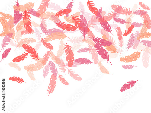 Detailed majestic feather on white design.