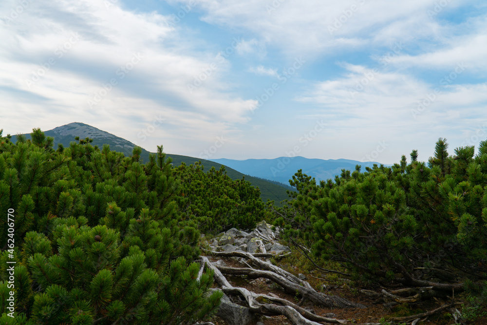 Obraz premium Summer mountains on a cloudy day. mountain landscape. background