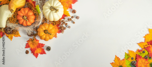 Autumn background   pumpkins dry  berries and leaves on a white  background. Concept of Thanksgiving   Halloween. Flat lay  with copy space.autumn background pattern