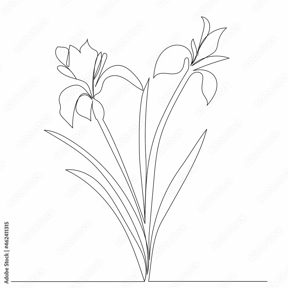 flower one line drawing isolated