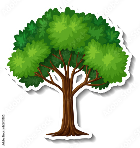 A tree with green leaves sticker on white background