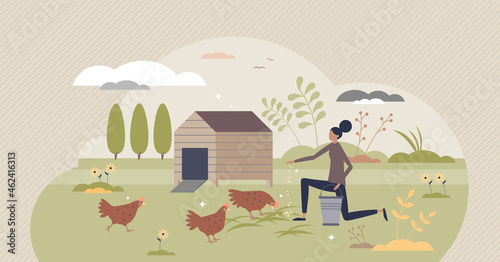 Backyard chickens farming and hens feeding with seeds tiny person concept. Ecological domestic animal care for organic slow food vector illustration. Happy and ethical birds keeping for eggs and meat.