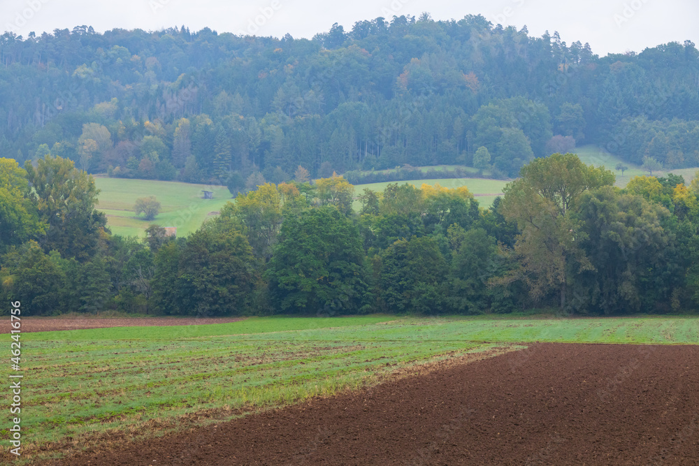 Farm fields and fall foliage in Germany