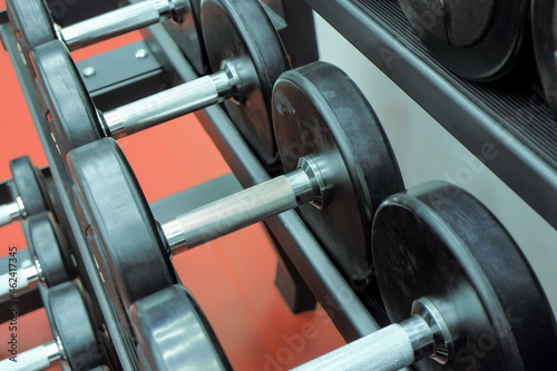 dumbbells for fitness classes are neatly placed on a stand.fitness,athletics,strength exercises