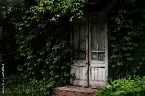an entourage door in an abandoned house with a hedge