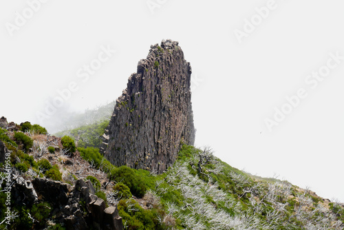 Madeira