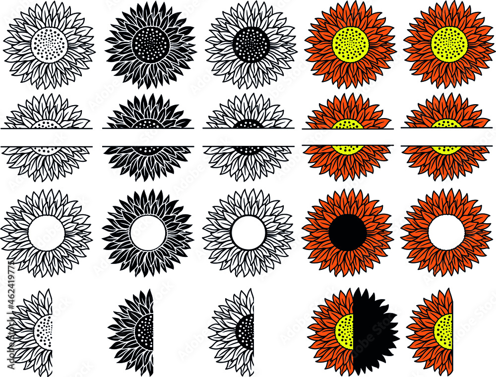 Sunflower monogram set in color and outline style for DIY art project and more