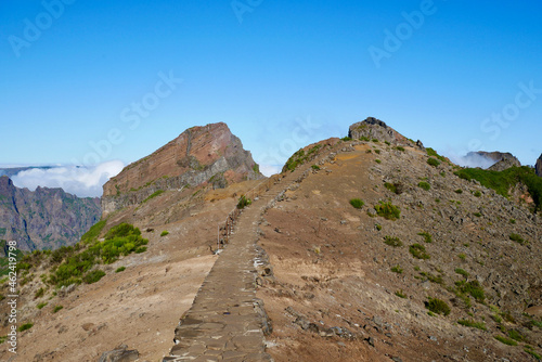 Madeira - Wanderweg im Gebirge