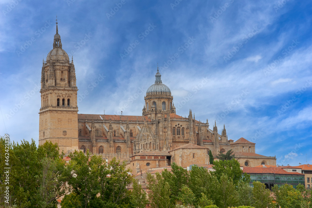 hermosa catedral de la ciudad de Salamanca, España