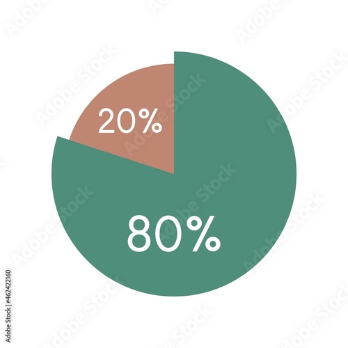 colorful pie chart,circle percentage diagram infographic vector illustration.80,20