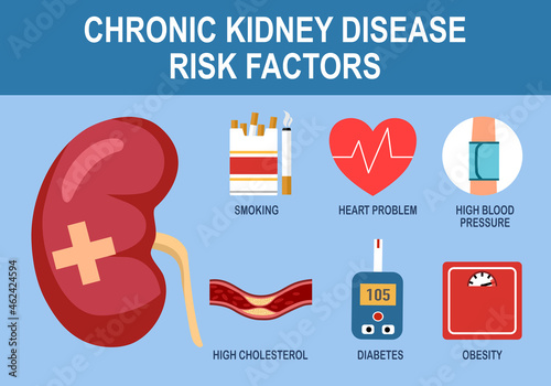 Chronic kidney disease risk factors infographic vector illustration.