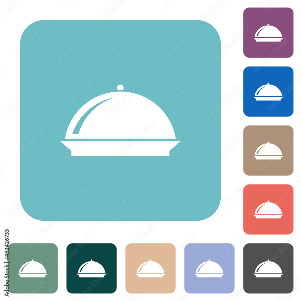 Food tray with gloss rounded square flat icons