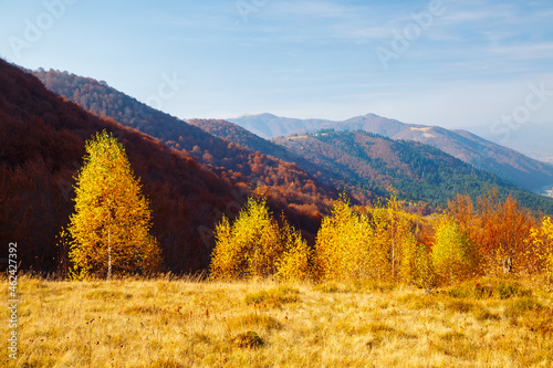 Incredible autumn landscape in sunny day. Location place of Carpathian mountains, Ukraine, Europe.