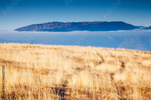 Bright dry grass glows in the sun on the slopes of Mount Demerdzhi. Location place Crimean Mountains.