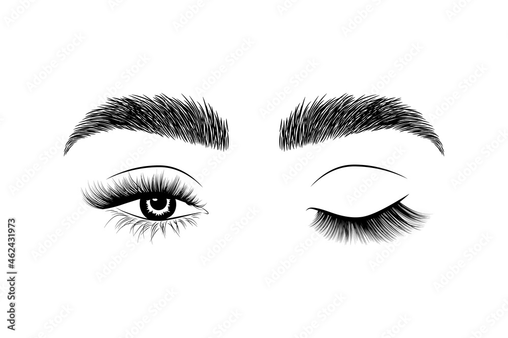 Women's eyes and brows illustration. Lashes master and brow master logo Women's eyes and brows illustration. Lashes master and brow master logo