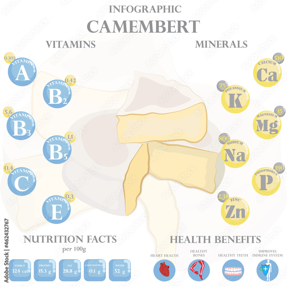 Camembert nutrition facts and health benefits infographic Stock Vector