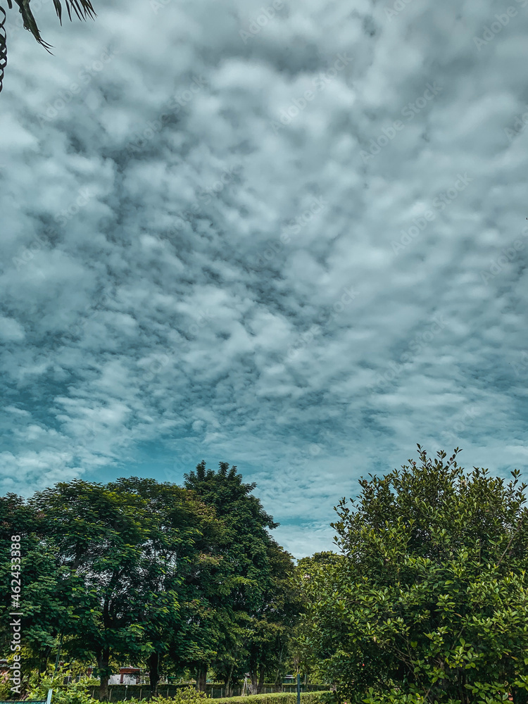 Fototapeta premium clouds over the forest