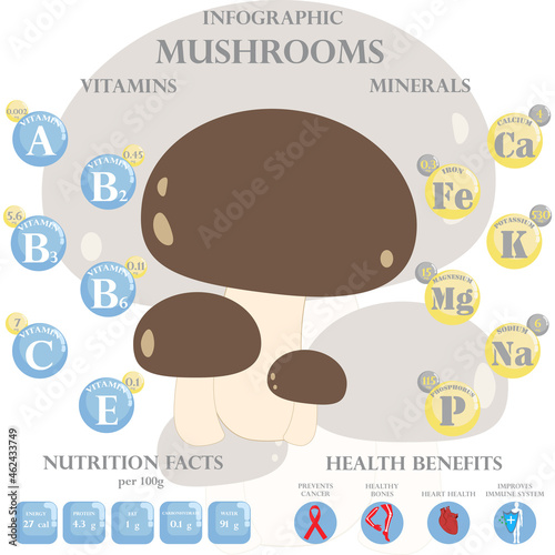 Mushrooms nutrition facts and health benefits infographic