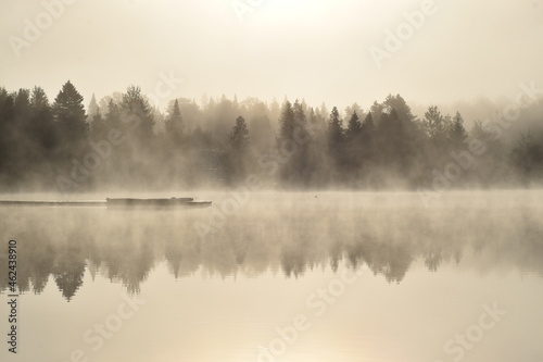 A fog on a cold autumn morning, Sainte-Apolline, Québec, Canada