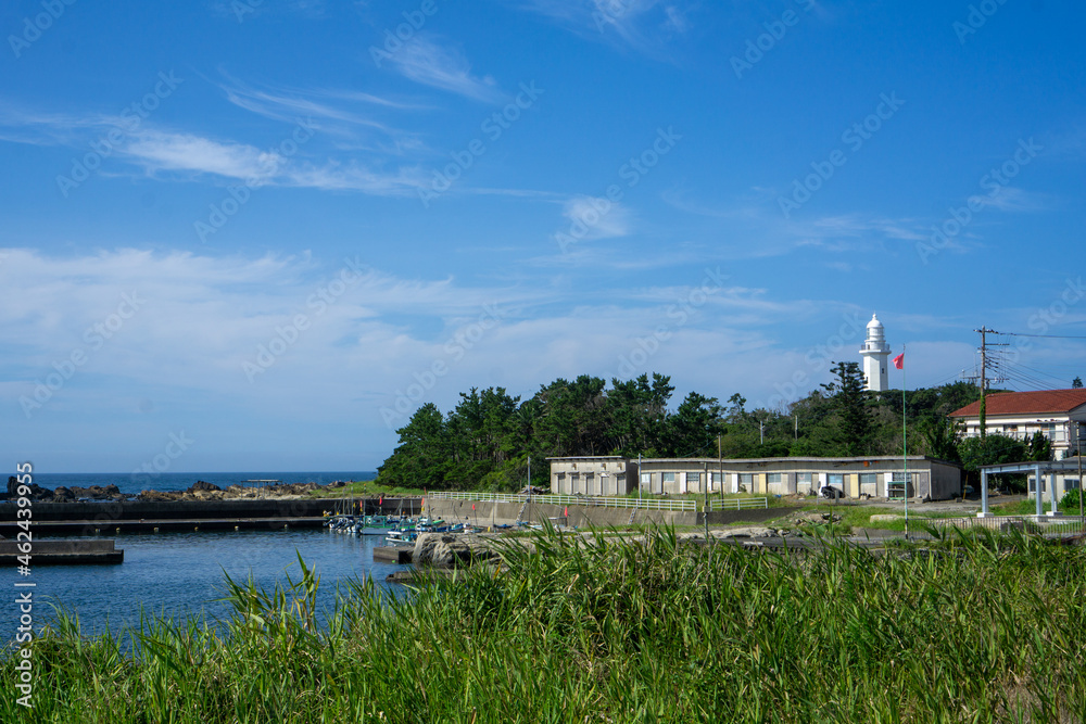 Fototapeta premium 南房総の海