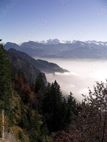 Mountain Rigi photo