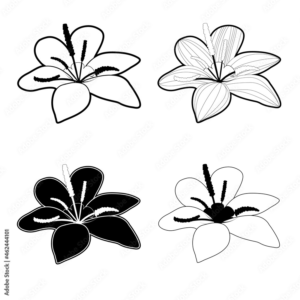Fototapeta premium Flower icon black and white