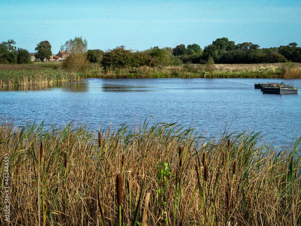 Lake and wetland habitat, North Yorkshire, England Lake and wetland habitat, North Yorkshire, England