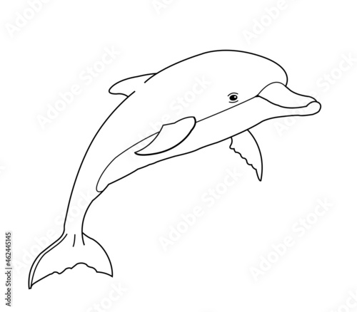 delfin saltando dibujo con líneas vector