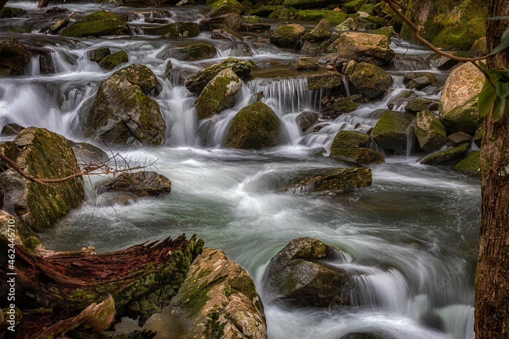 waterfall in the woods