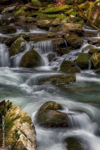 waterfall in the woods