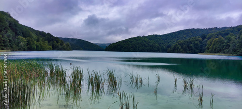 View of the lake and nature in the Plitvice Lakes National Park. Reeds in the water. Mountains in the background. Overcast weather. Croatia. Europe 