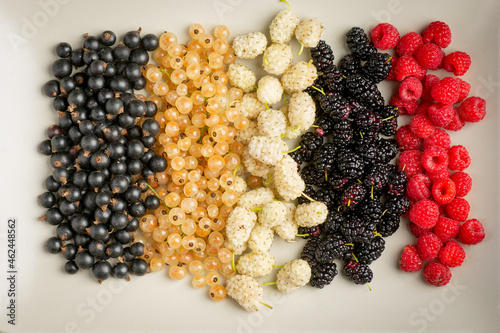 Mix of fresh berries in on plate on wooden background. Antioxidants, detox diet, organic fruits. photo