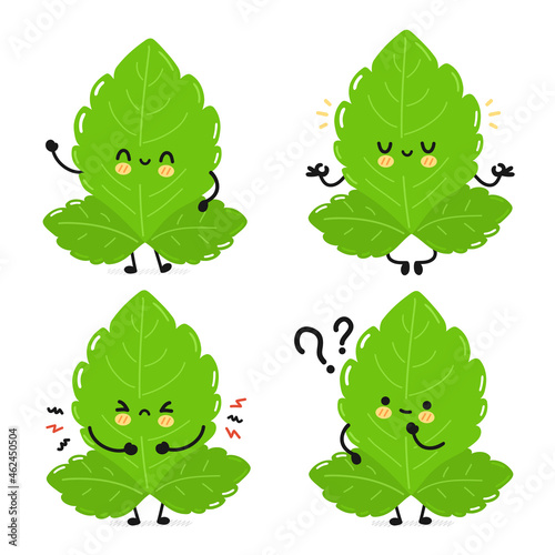 Cute funny stevia leafs character. Vector hand drawn simple flat cartoon kawaii character illustration icon. Isolated on white background. Stevia sugar leafs cartoon character concept