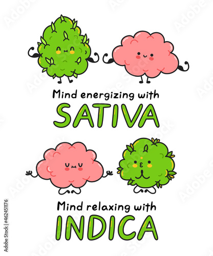 Cute weed cannabis bud meditate and show muscle with brain. Vector cartoon character flat line illustration. Medical weed and brain, marijuana indica,sativa strains concept