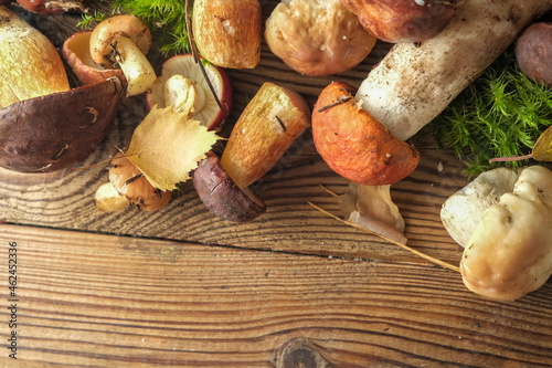 fresh forest mushrooms on a wooden background. top view, copy space. Autumn concept.