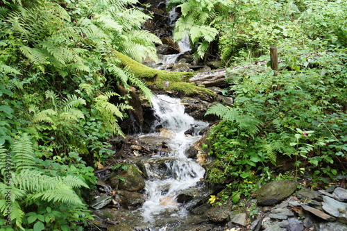 Wasserfall im Wald