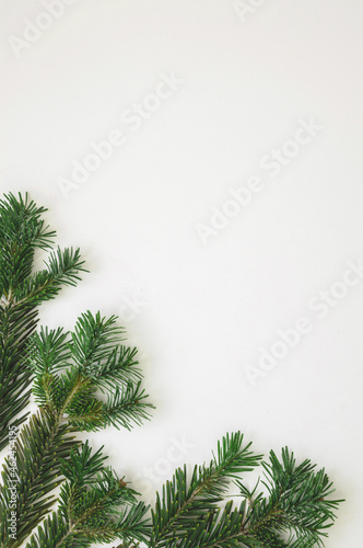 Christmas greeting card template, New Year wishes, Fresh fir twig on white color background.