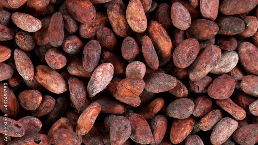 Super slow motion of flying movng cocoa beans, macro shot. Filmed on high speed cinema camera, 1000fps. Super slow motion of flying movng cocoa beans, macro shot. Filmed on high speed cinema camera, 1000fps.