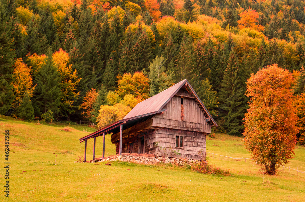 Moieciu de Sus, Brasov county, Romania. Rural autumn landscape in the Carpathian Mountains Moieciu de Sus, Brasov county, Romania. Rural autumn landscape in the Carpathian Mountains