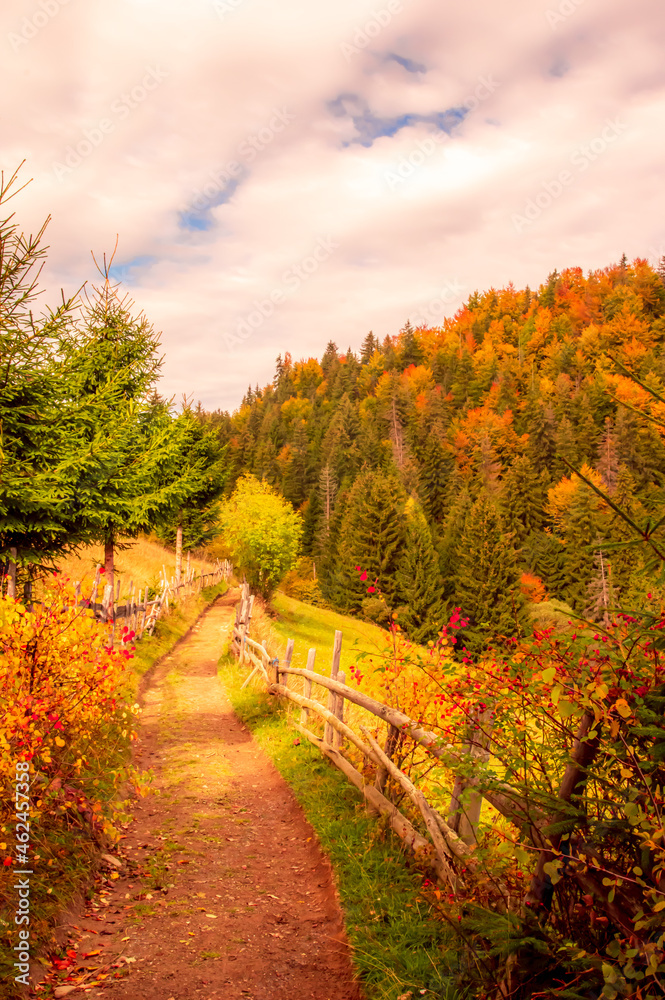 Moieciu de Sus, Brasov county, Romania. Rural autumn landscape in the Carpathian Mountains