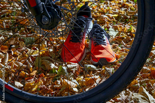 Fototapeta Naklejka Na Ścianę i Meble -  Orange sneakers and a bicycle wheel in sunlight