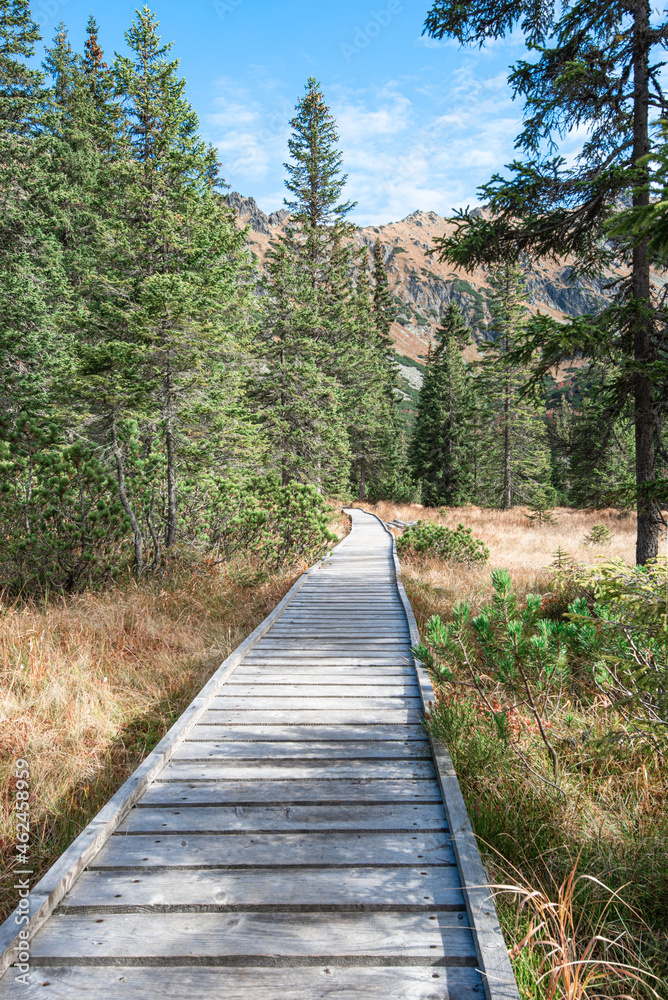 Wooden hiking trail leading over the wetland. Wooden hiking trail leading over the wetland.